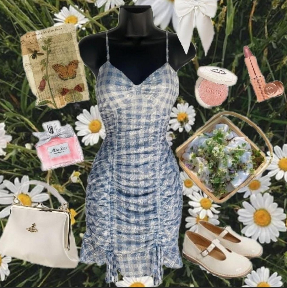 PAPAYA Blue and White Checkered Dress